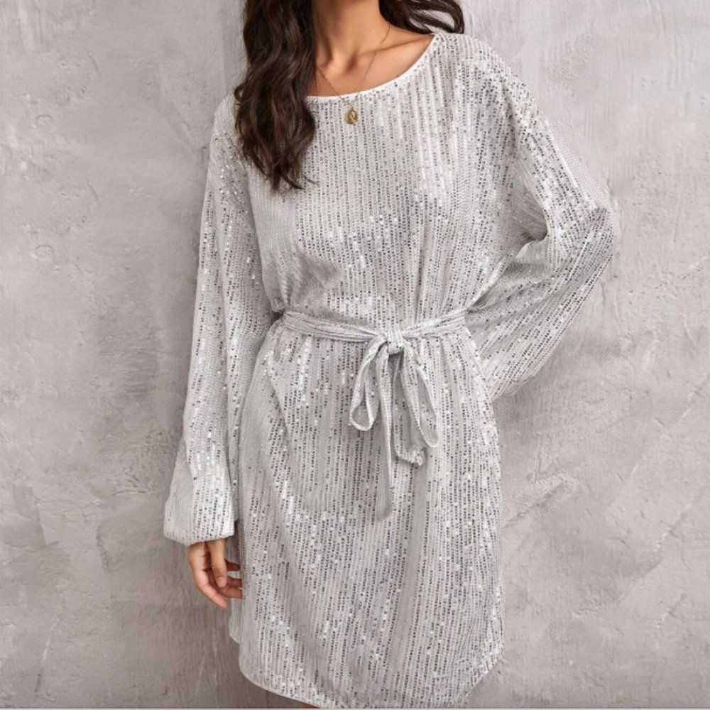 Silver Belted Sequins Dress - Picture 3 of 5